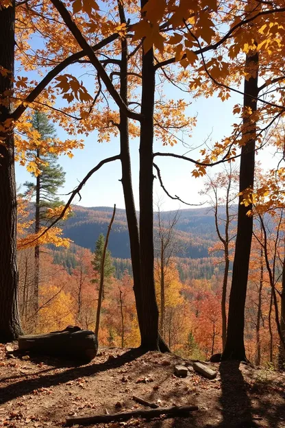 Good Earth State Park's Stunning Photo Exhibition