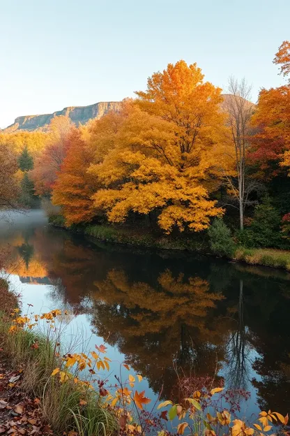 Good Morning Fall Image: Warming Up with Cozy Autumn Vibes