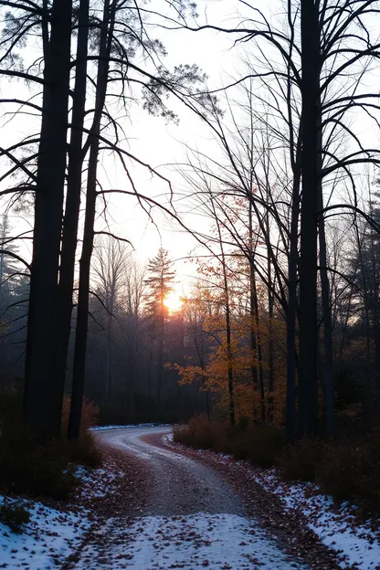 Good Morning Fall Images Nature's Masterpiece Unfolds Slowly