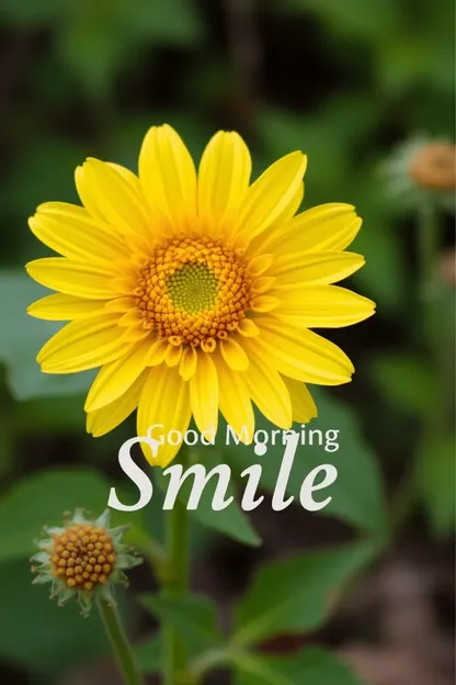 Good Morning Smile Images for Beautiful Beginnings