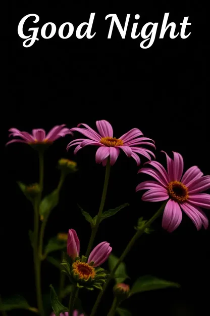 Good Night Flower Images Collection