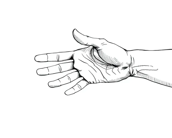 Hands Reaching Out in Sketch PNG