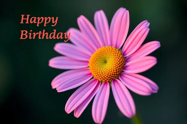 Happy Birthday Daisy Images to Make You Smile