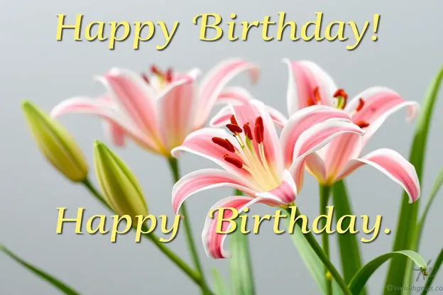 Happy Birthday Lily Images for Beautiful Day