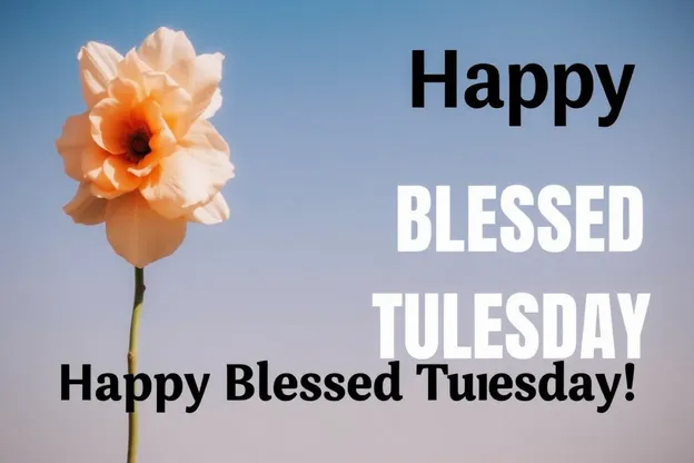 Happy Blessed Tuesday Images for a Joyful Morning