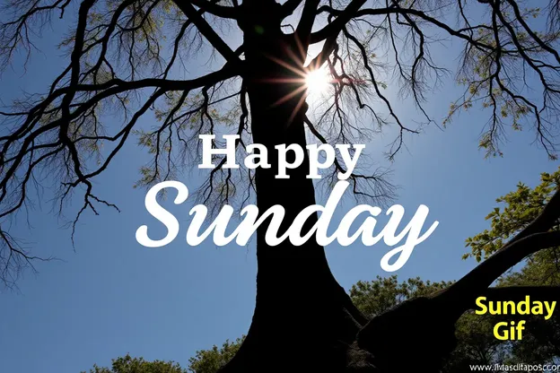 Happy Sunday Gif Images for a Relaxing Afternoon