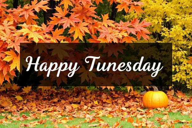 Happy Tuesday Fall Images in Nature's Colorful Display