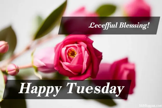 Happy Tuesday Images Spread Joy and Blessings Always