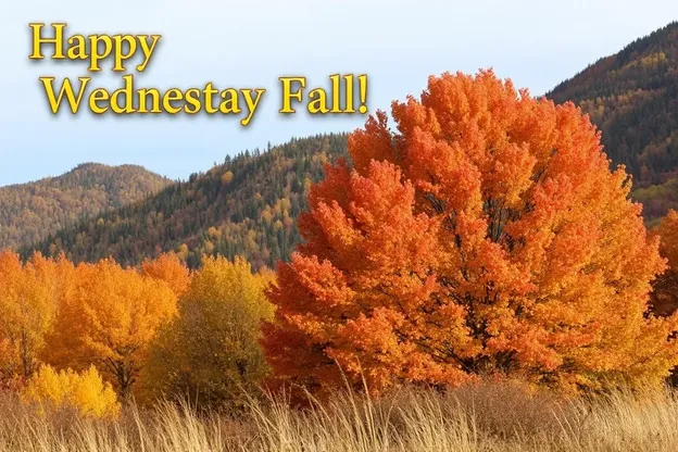 Happy Wednesday Fall Images: Lovely Fall Moments for Happy Wednesday