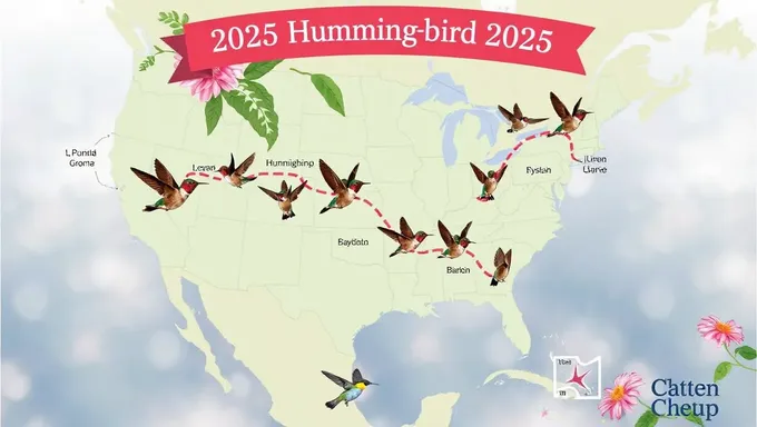 Hummingbird Migration Map for 2025 Announced