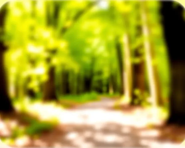 Identifying Blurred Edge Round Rectangle PNG Format