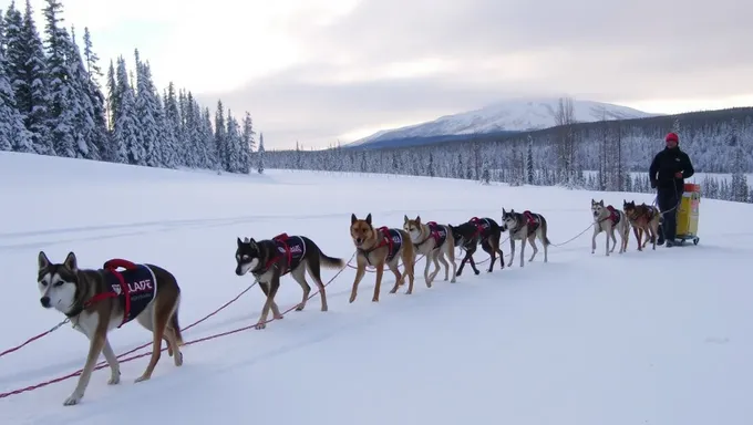 Iditarod Standings 2025 Show Early Leaders