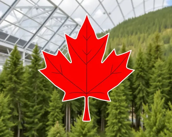 Image of Maple Leaf PNG Emoji Symbol