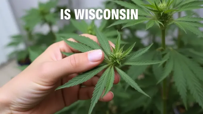 Is Weed Legal in Wisconsin for 2025