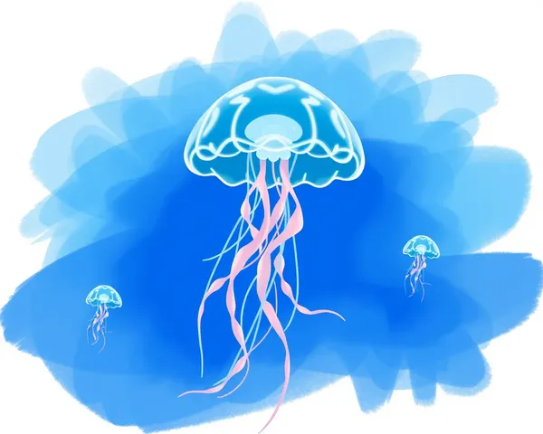 Jellyfish png File Format Description