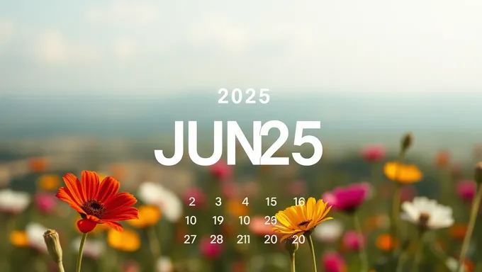 June 2025 Calendar: Planner and Organizer