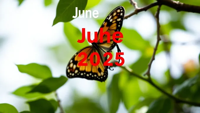 June July 2025 Calendar: A Complete Overview