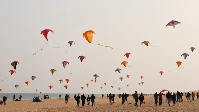 Kite Festival 2025 Attracts Visitors from Around Globe