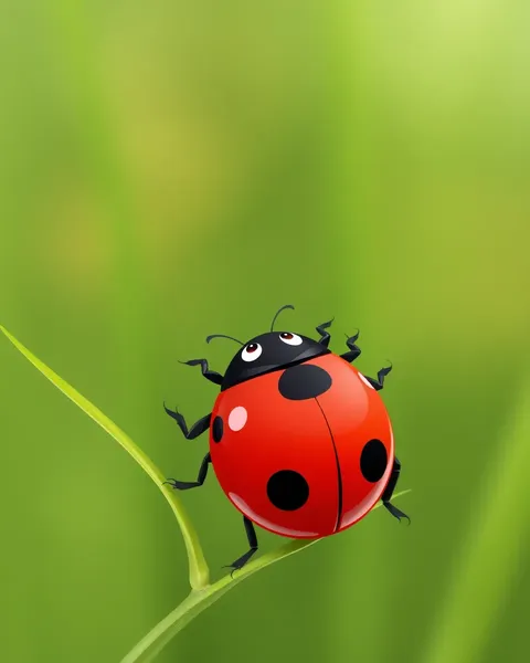 Ladybug Cartoon Image with Cute Face