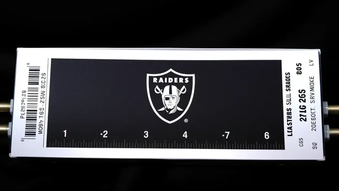 Las Vegas Raiders Season Ticket Box for 2025