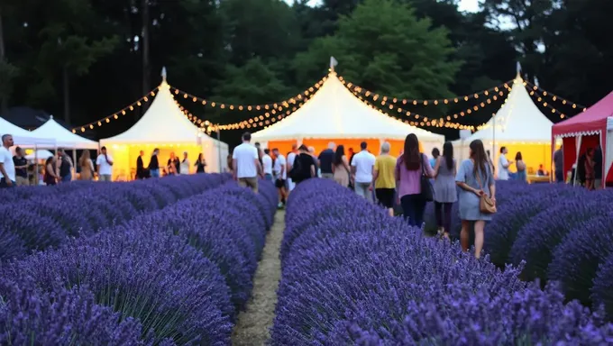 Lavender Festival 2025: A Floral Celebration Awaits You