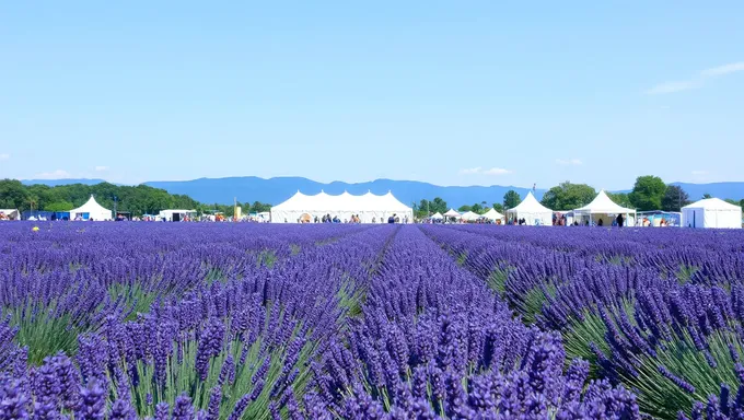 Lavender Festival 2025: Aromatic Delights for All Senses