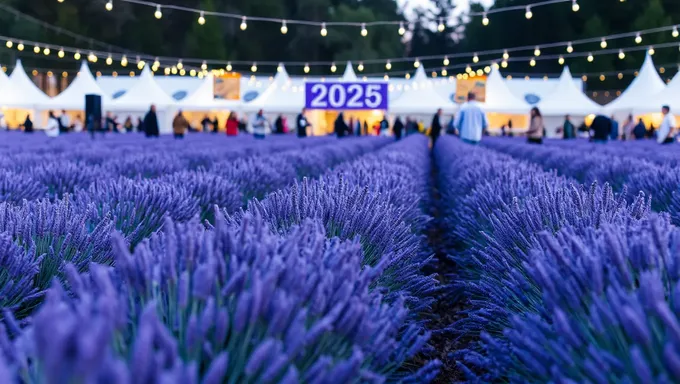 Lavender Festival 2025: Experience the Fragrance of Joy