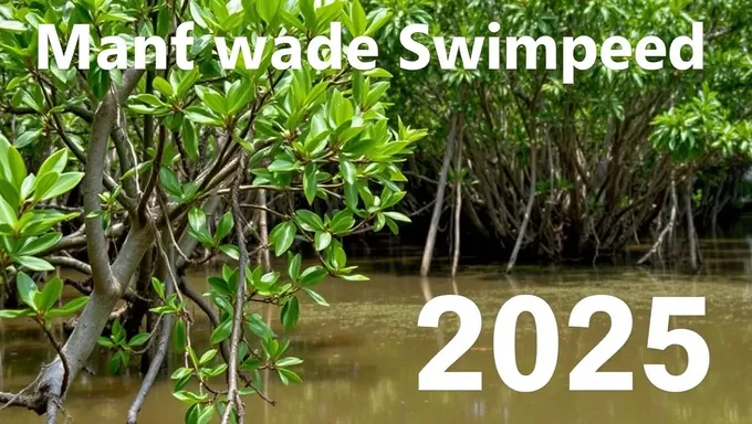 Mangrove Swamp Seed 2025: Planting for Tomorrow