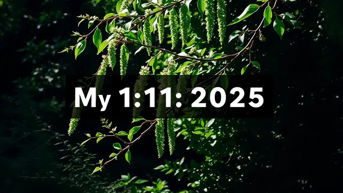 May 11 2025: Future Date for Goal Setting