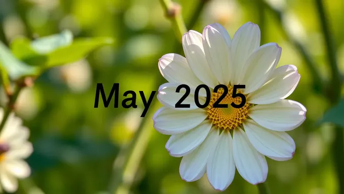 May 11 2025: Future Date for Planning Purposes