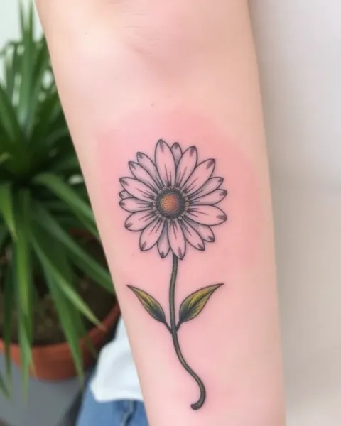 Meaning Behind a Daisy Tattoo Design