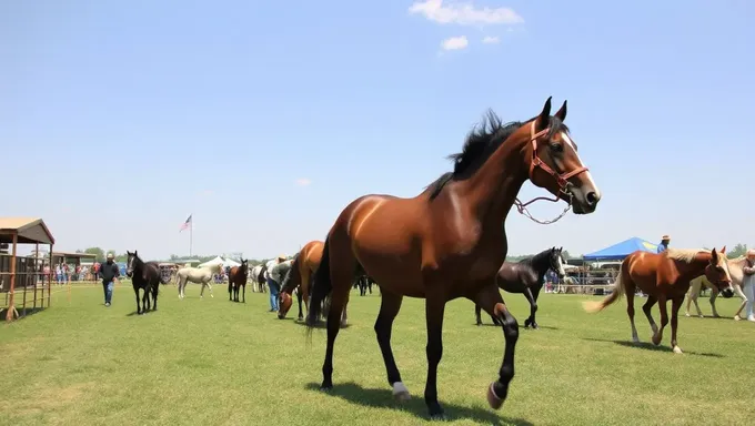 Midwest Horse Fair 2025: Dates and Schedule Announced