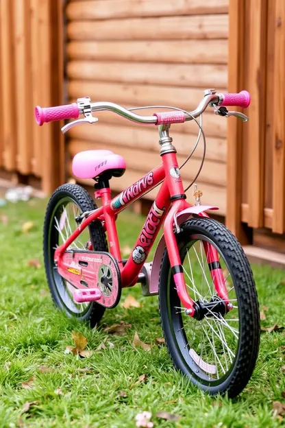 More Sixteen Inch Girls Bikes Arrive