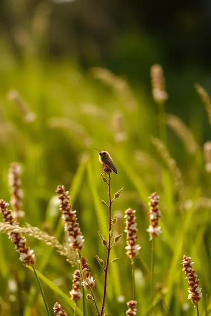 Morning Images of Nature's Wonders and Beauty