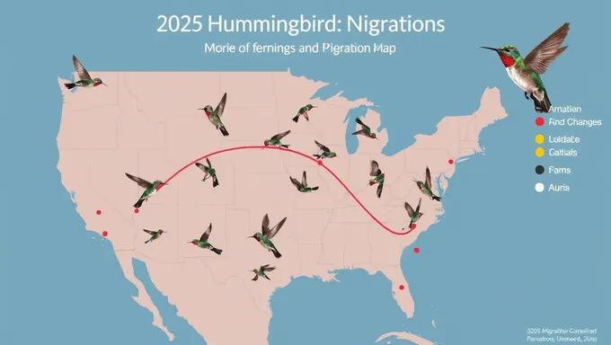 New 2025 Hummingbird Migration Map Unveiled