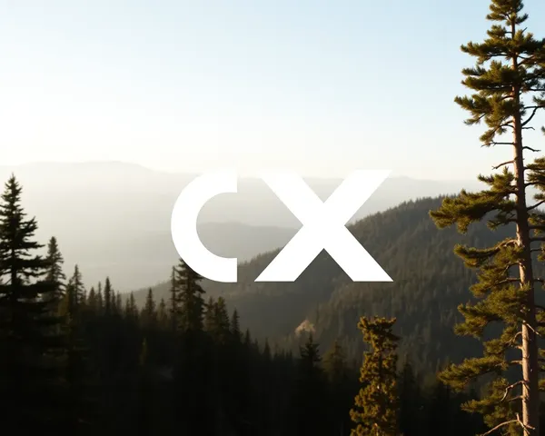 Nice CX One Logo PNG Style