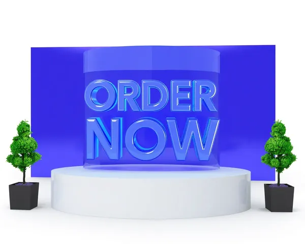 Order Now Professional 3D PNG