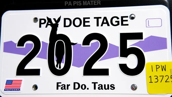 Pa Doe Tags 2025: Same Information Reiterated