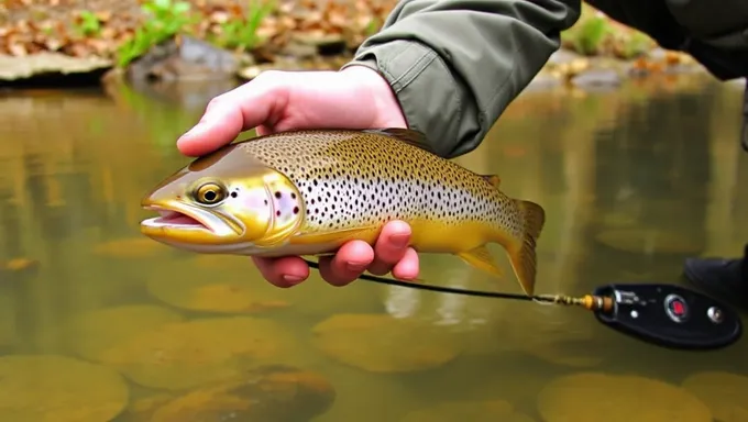 Pa Trout Season 2025 Expected to Be Busy