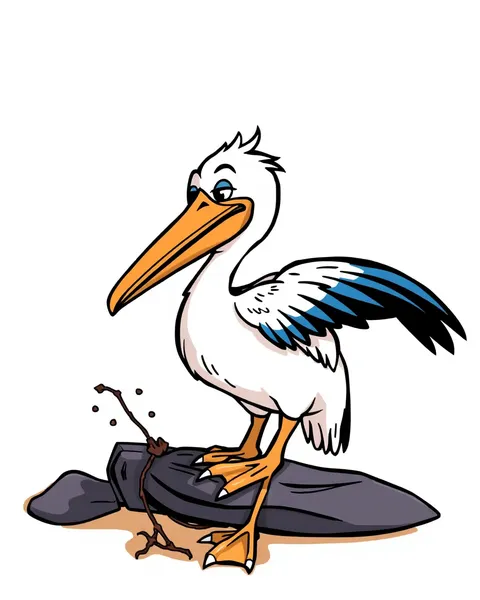 Pelican Cartoon Images for Kids Entertainment