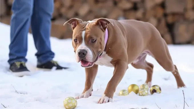 Pitbull Attack Statistics 2025 Revealed in New Report