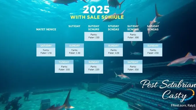 Rays Schedule 2025: A Look Ahead