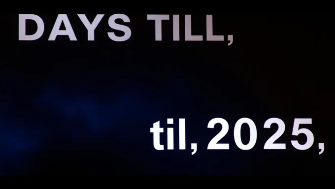 Remaining Days Till 2025