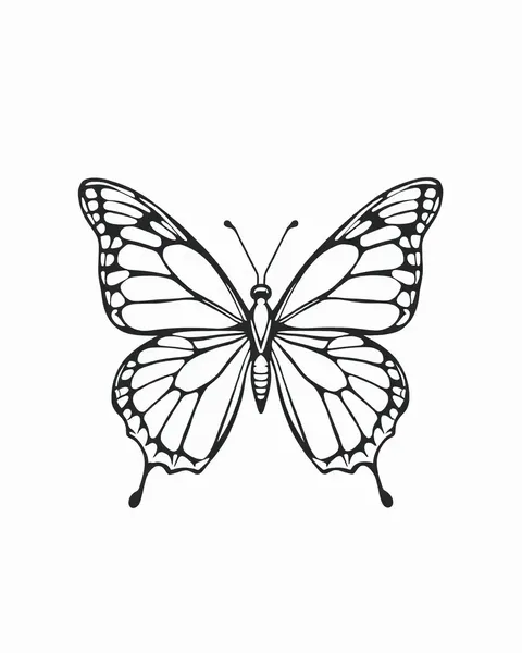 Simple Butterfly Tattoo Outline Design