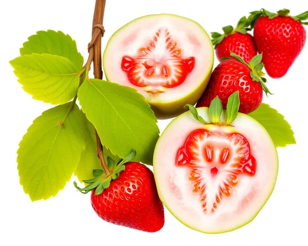 Strawberry Guava PNG Photos for Mobile Phone