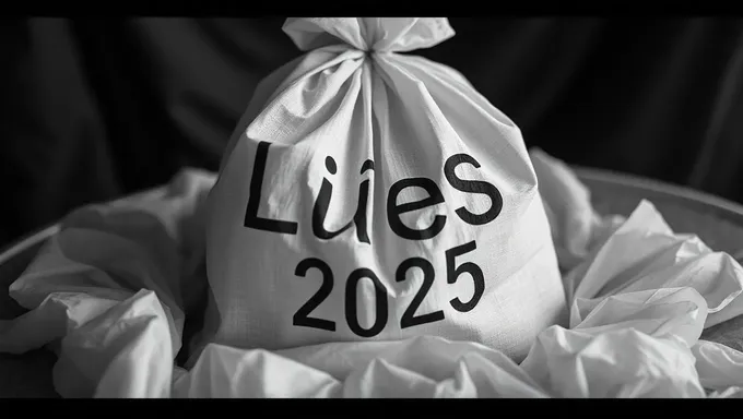 The Bag of Lies 2025: A Year of Discovery