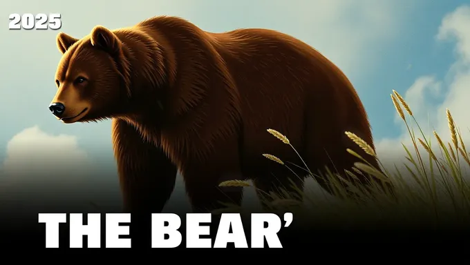 The Bear Season 4 Release Date 2025 Confirmed