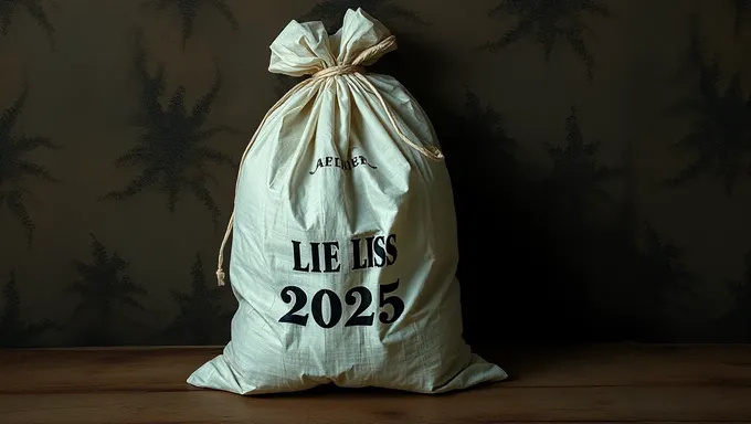 The Lies of 2025: A Bag of Truth