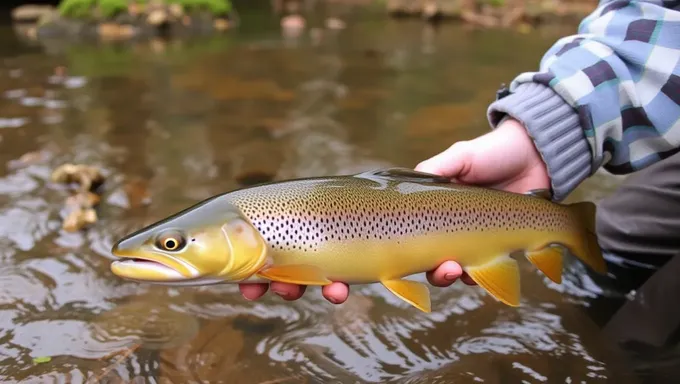 WV Trout Stocking 2025 Permit Requirements