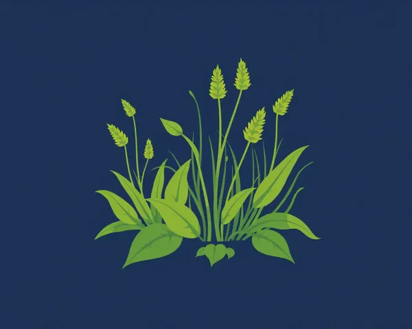 Weeds PNG Image Detected in Folder